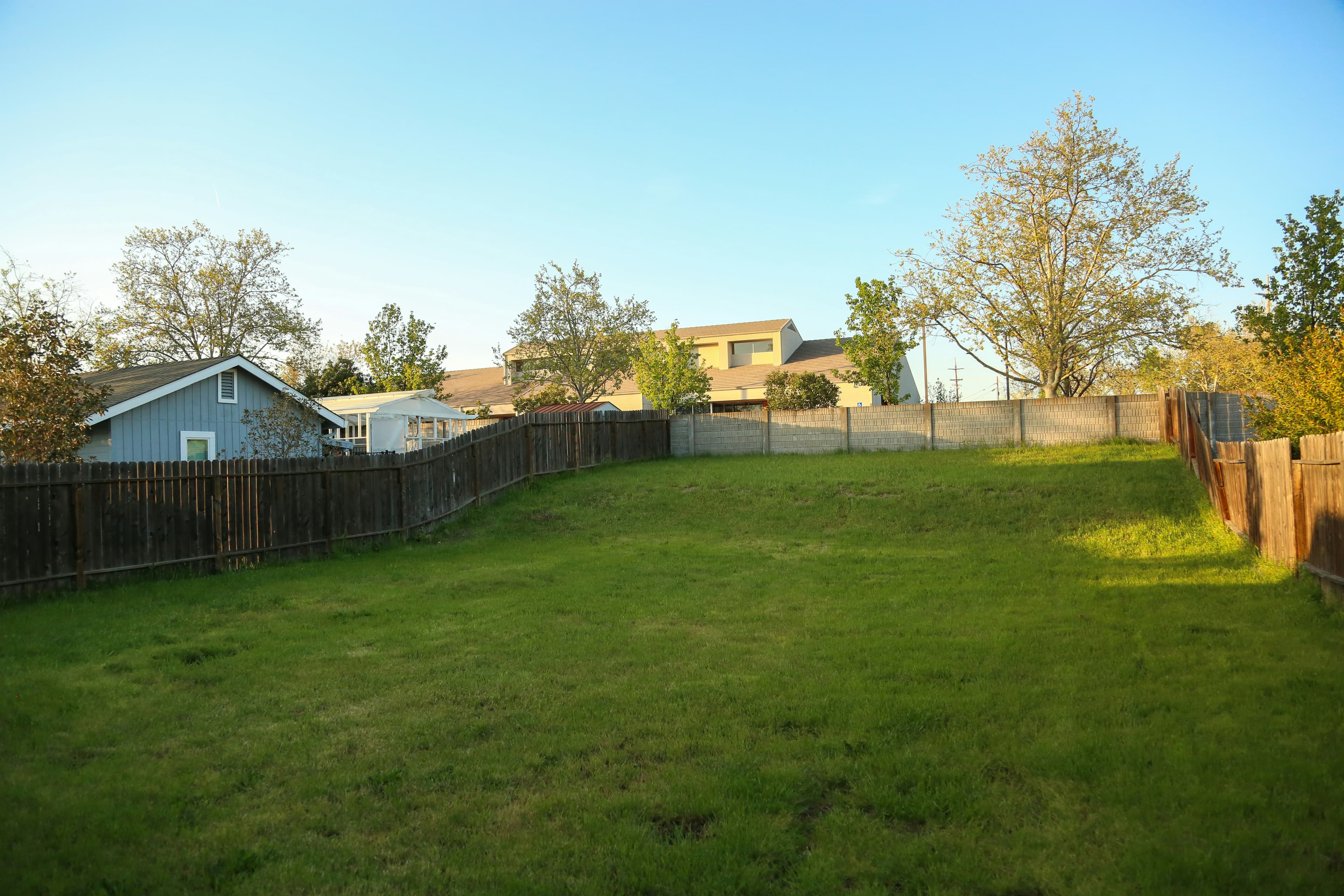 A backyard with a wood privacy fence at golden hour